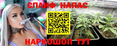 эйфоретик Кинель