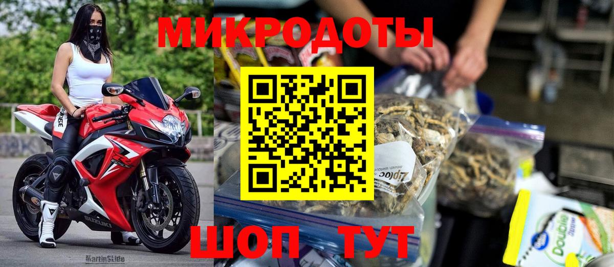 Звенигород  Псилоцибиновые грибы Cubensis  Вход с VPN 