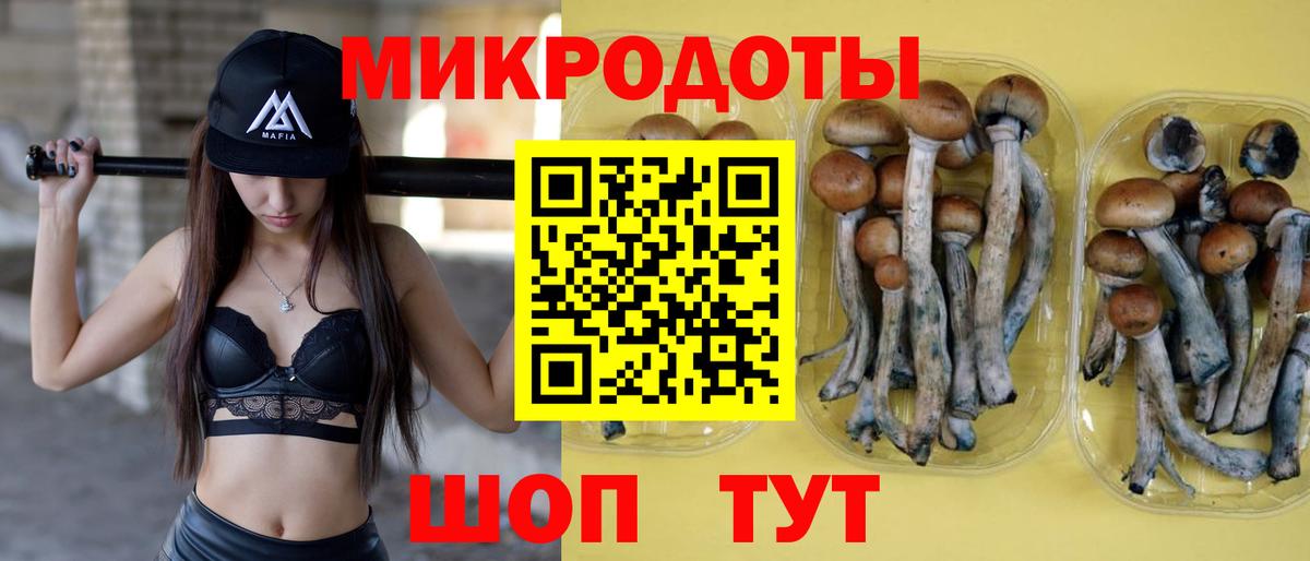 Галлюциногенные грибы мицелий Звенигород